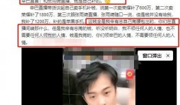 最新辛巴直播爆料,最新行业动态与独家爆料