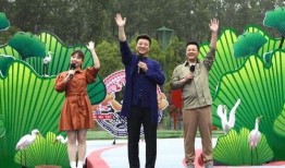 顺德爆料夫妇事件视频最新,真相揭露，网络舆论的漩涡与反思